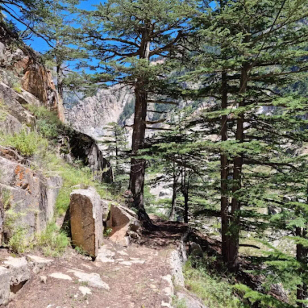 रोमांच से भरा रास्ता