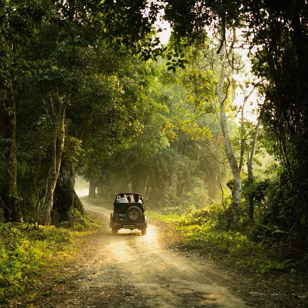 टाइमिंग और शुल्क