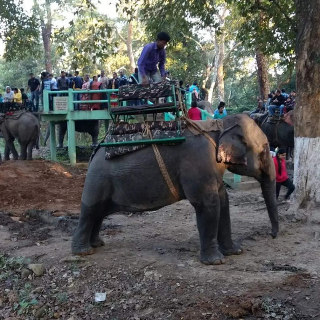 प्राकृतिक विविधता