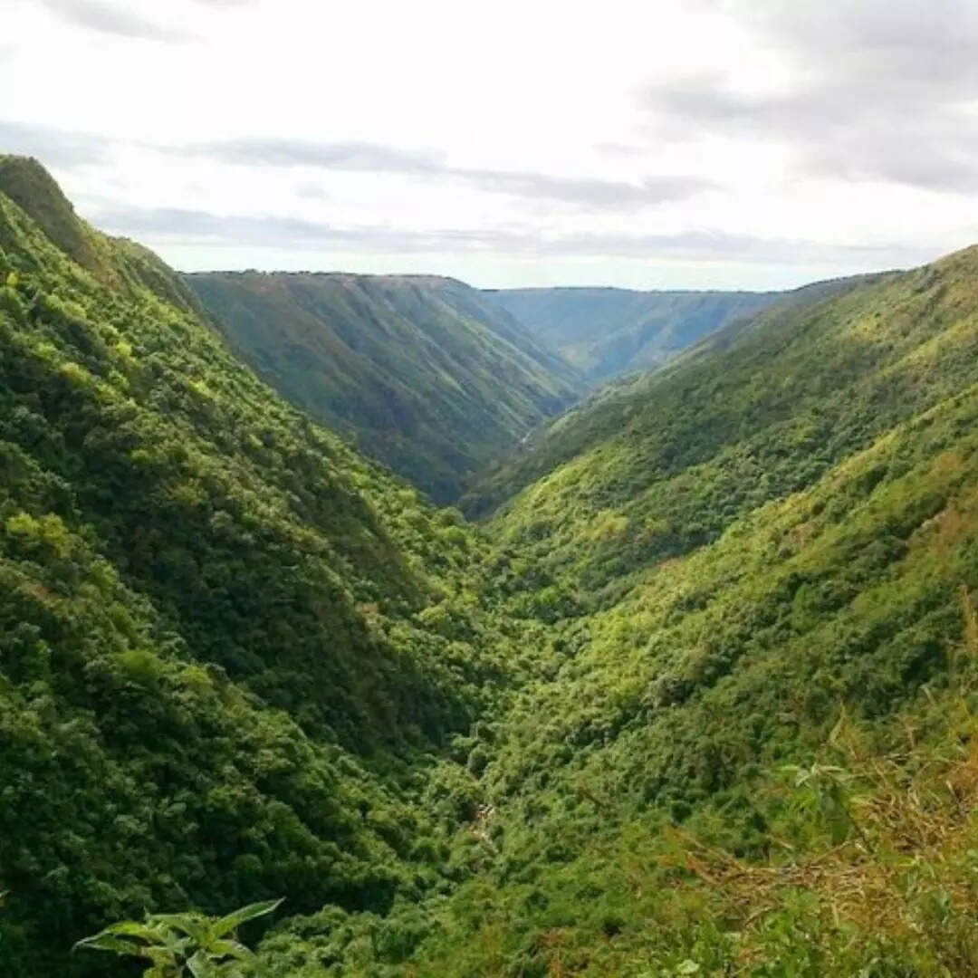 प्राकृतिक सुंदरता
