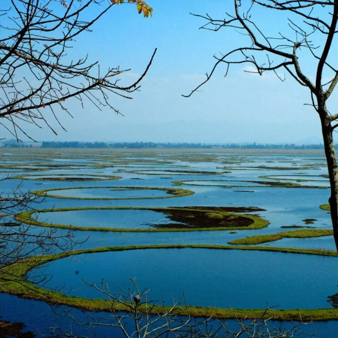 फुमदी पर तैरता है पूरा पार्क