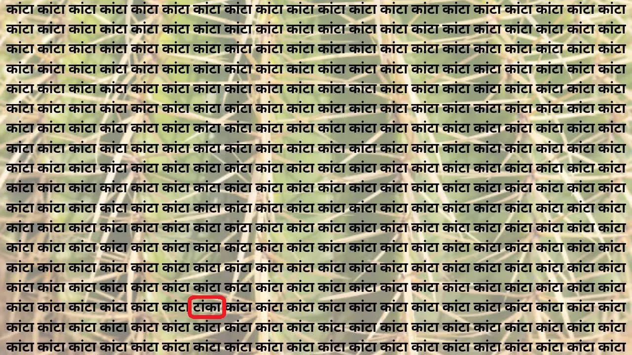 तस्वीर में यहां छिपा है टांका 