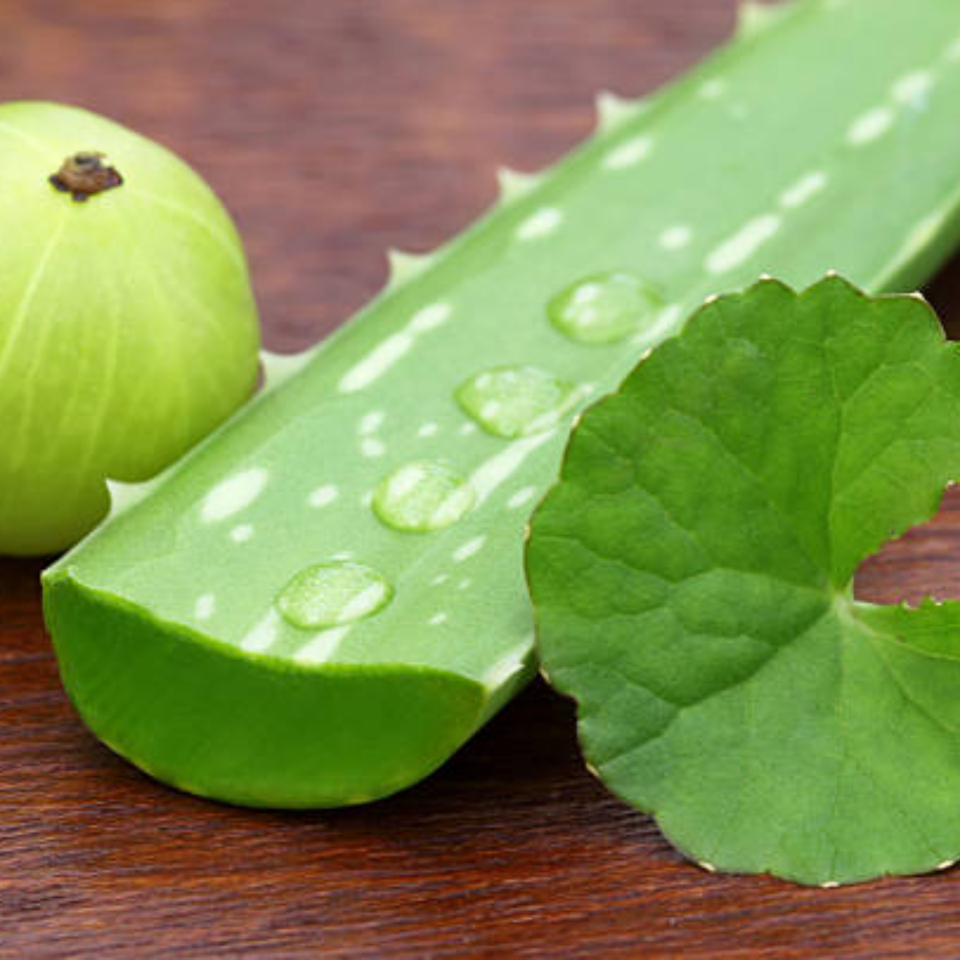 आंवला एलोवेरा जूस