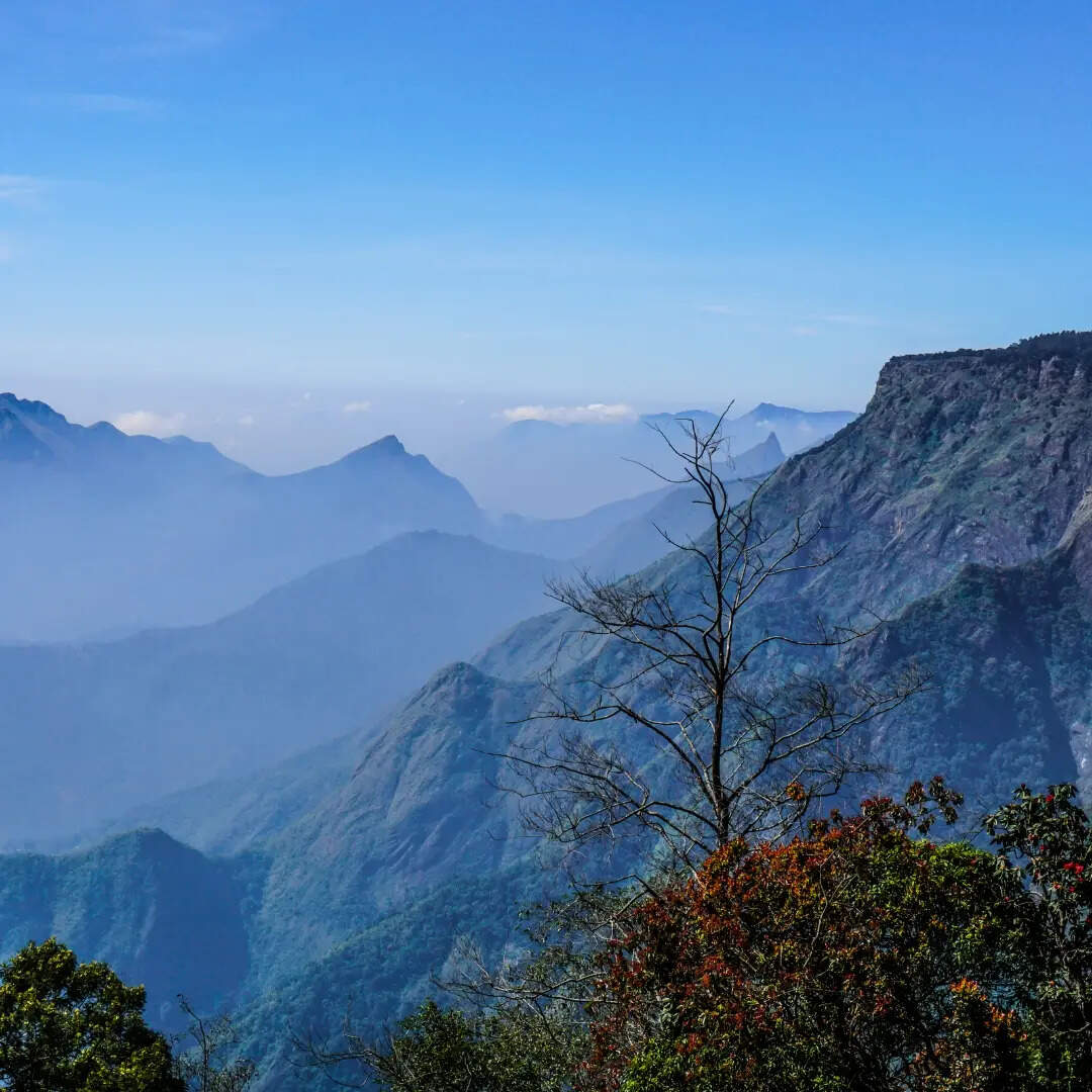 पहले से बनाएं प्लान