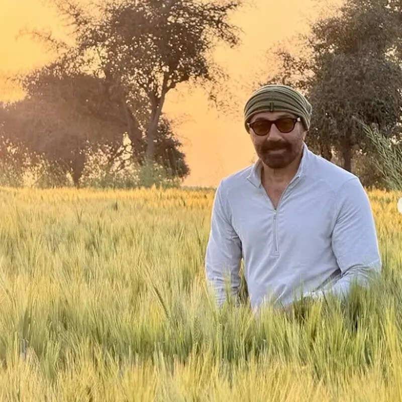 सनी देओल की नेट वर्थ