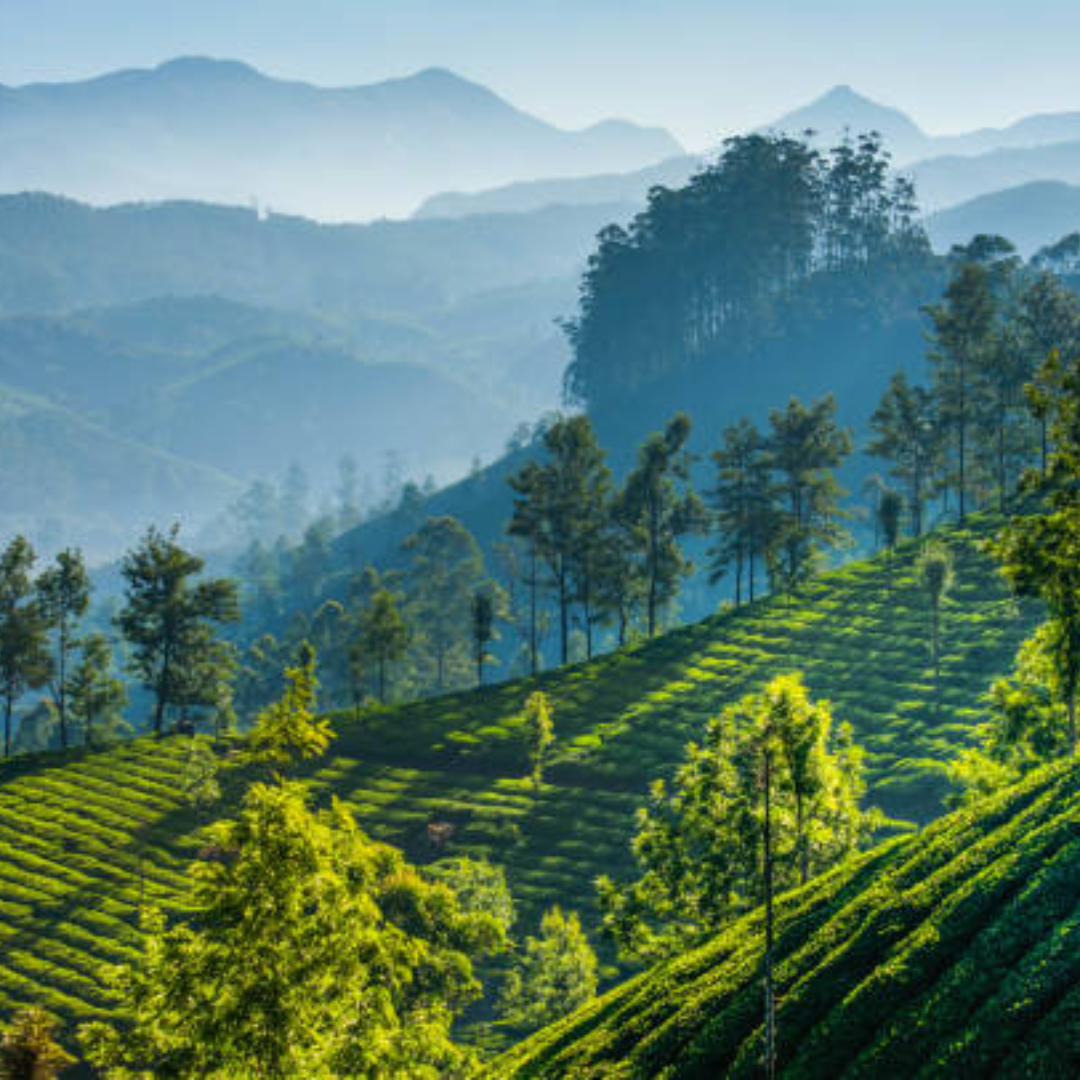 दार्जिलिंग