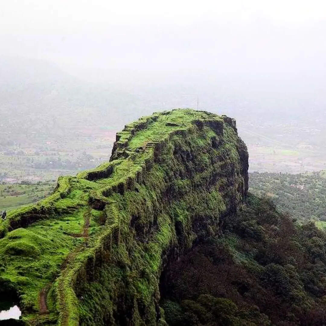 ​लोहागढ़ किला