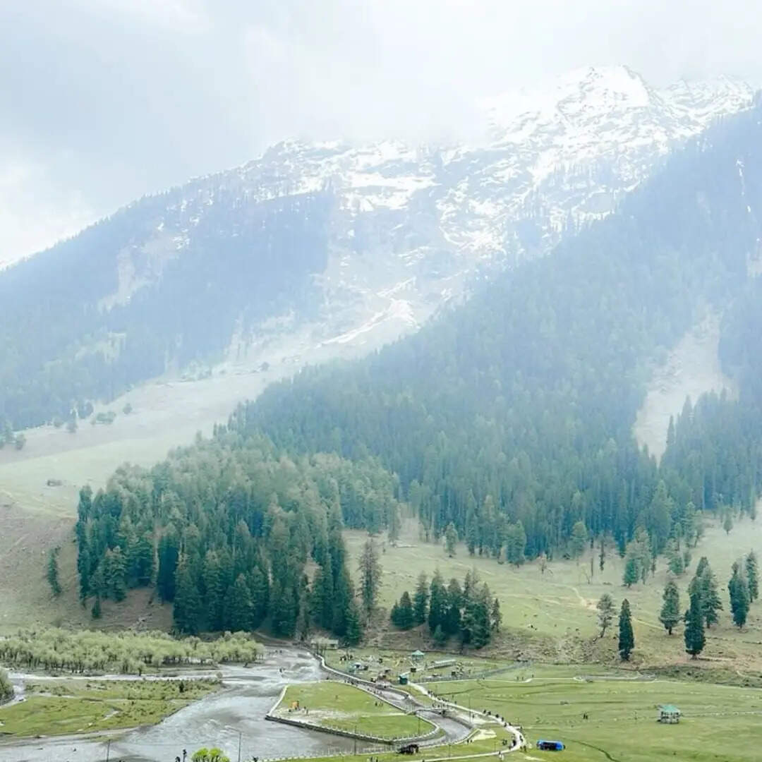 मनमोह लेगी खूबसूरती