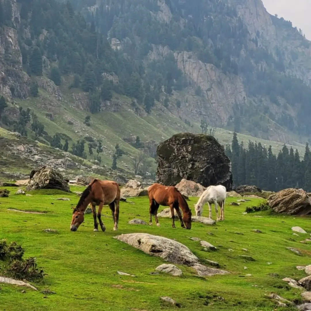 खूबसूरत पर्यटन स्थल