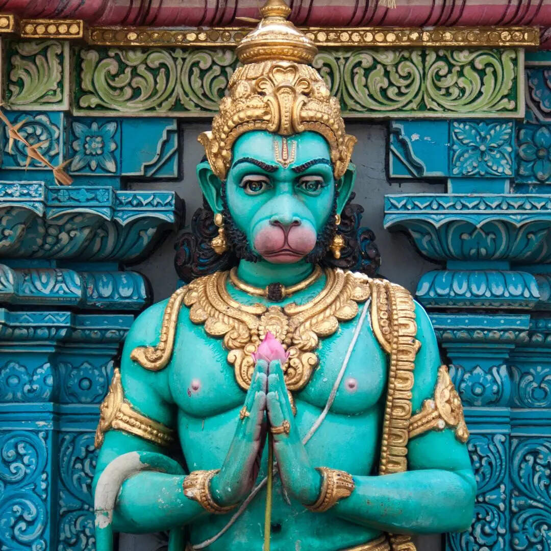जन्मोत्सव कब कहा जाता है?