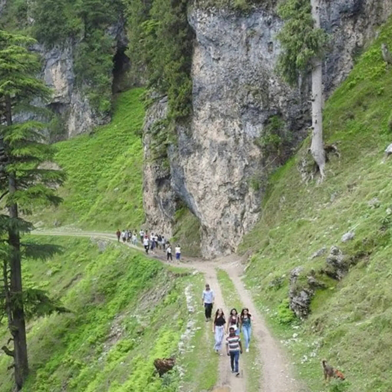 चकराता