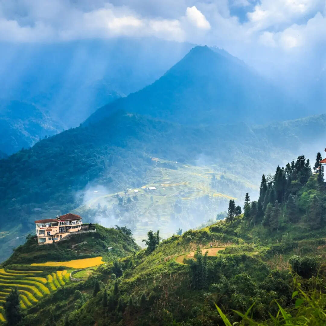 नियम और शर्तों को पढ़ना जरूरी