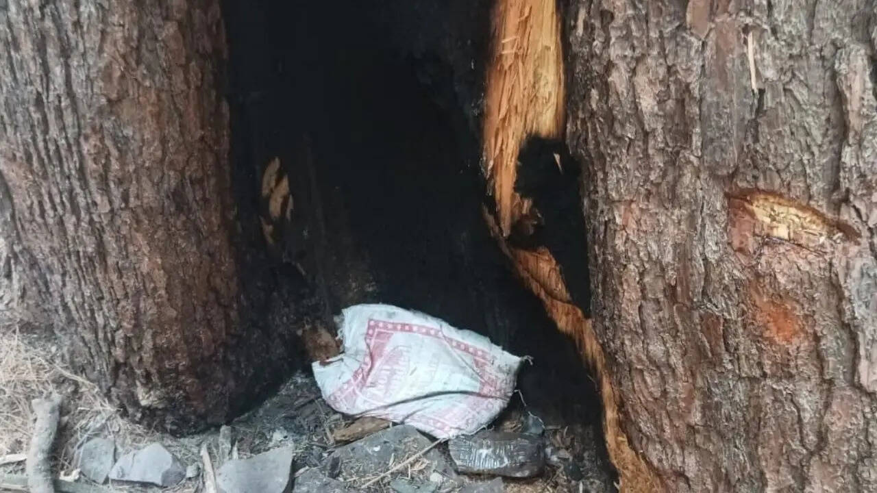 भूमिगत ठिकाने पर रह सकते हैं 5 से 6 आतंकी