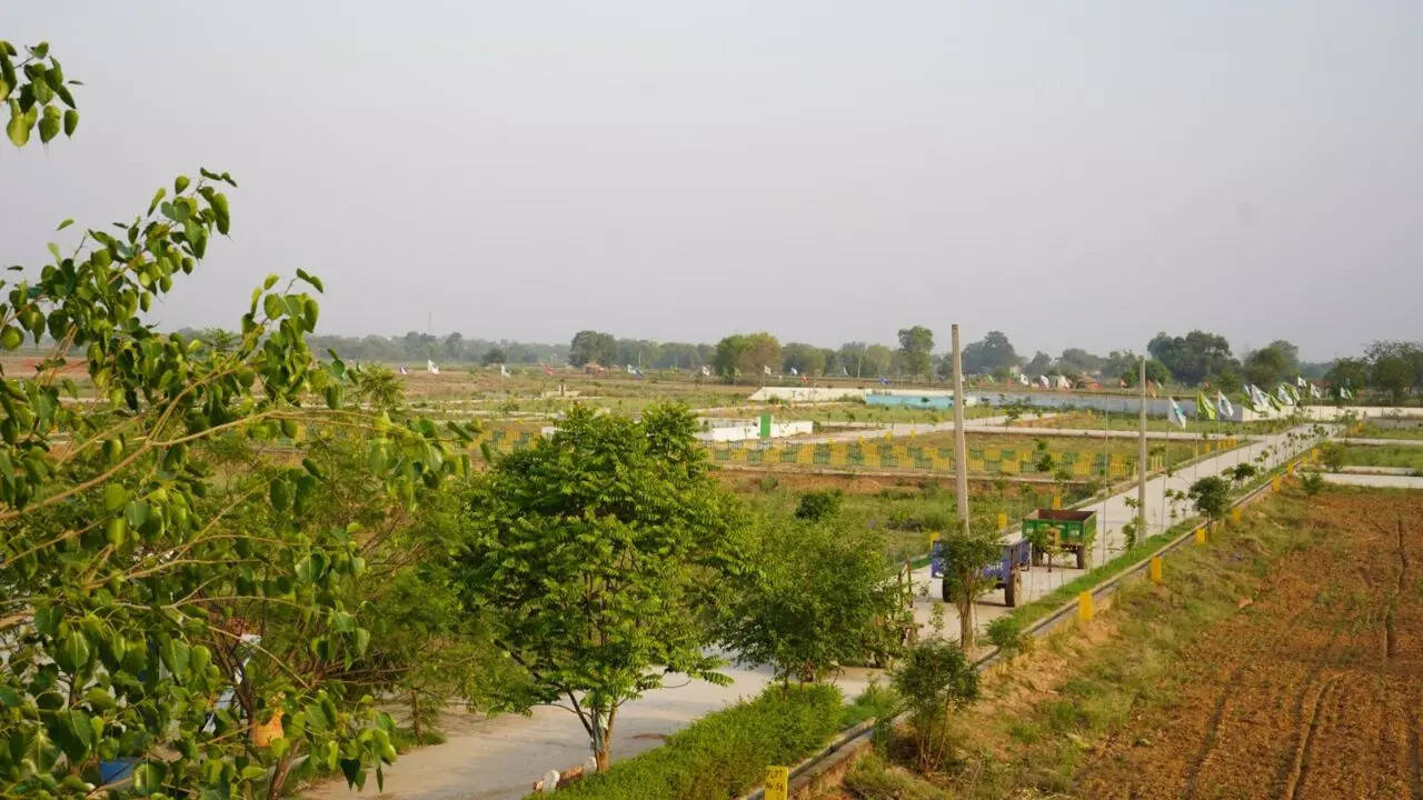 नीलामी प्रक्रिया जल्द होगी शुरू