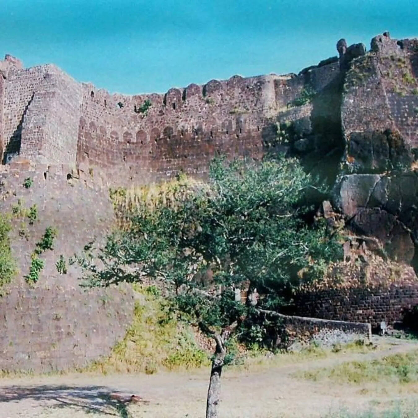 मनमोहक नजारा