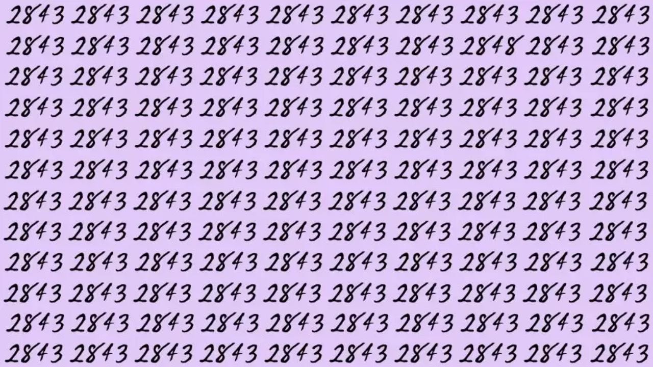 इस पहेली में 2843 की भीड़ में एक खास स्थान पर 2848 छिपा हुआ है।