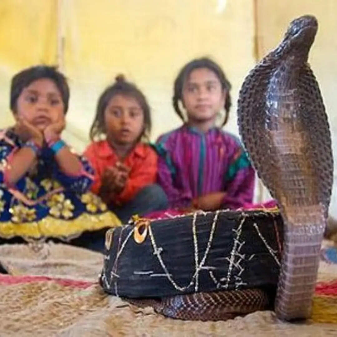 दुनिया भर के पर्यटकों को करते हैं आकर्षित