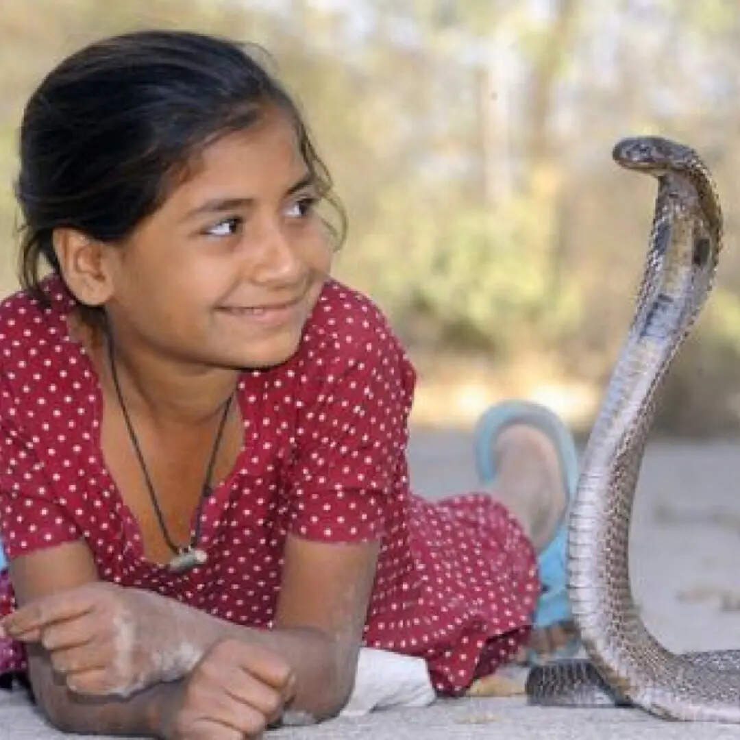 शेतफाल