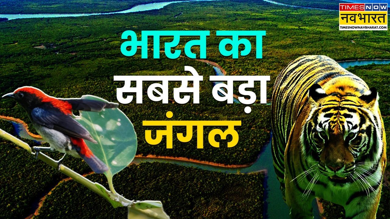 कहां है भारत का सबसे बड़ा जंगल