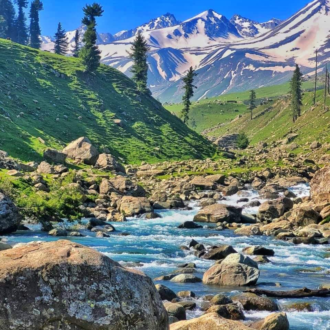 चिरसर झील