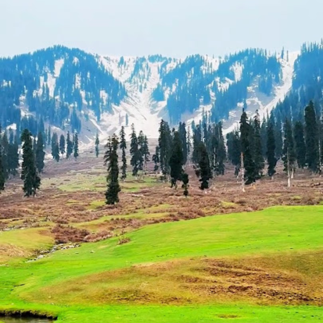 पंच पथरी