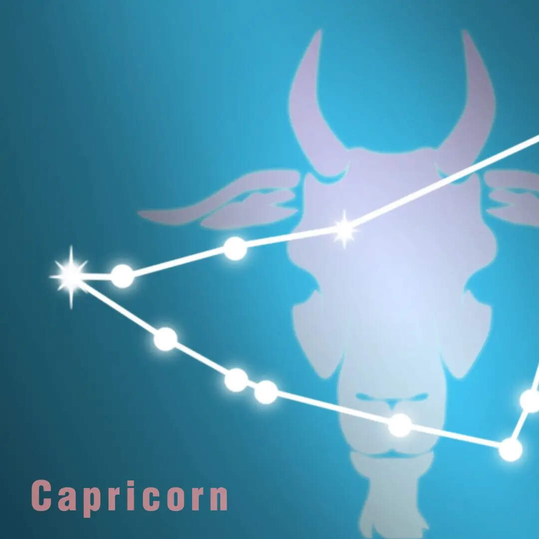 मकर राशि (Makar Zodiac)