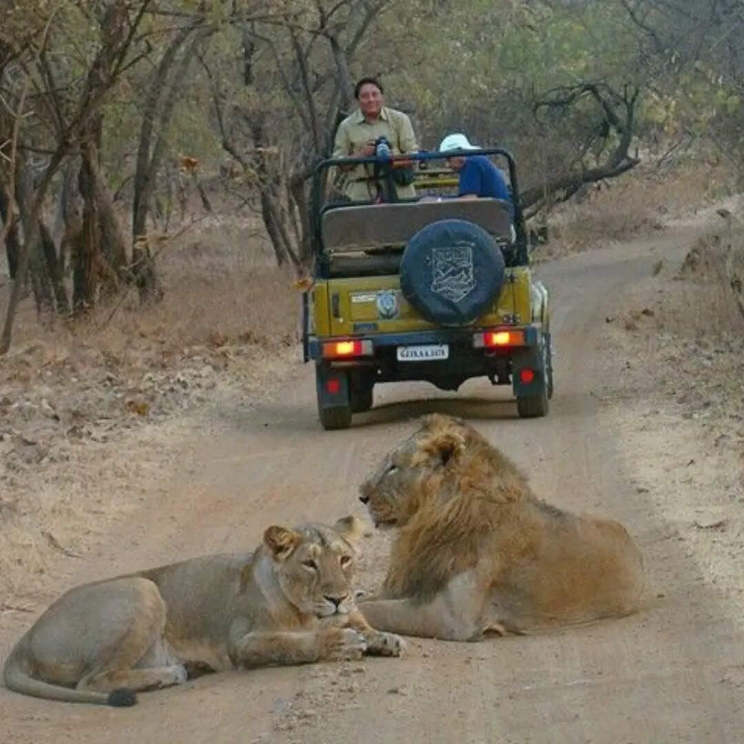 वन्यजीव प्रेमियों के लिए स्वर्ग