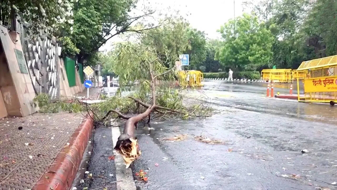 सड़कों पर बिखरा कूड़ा