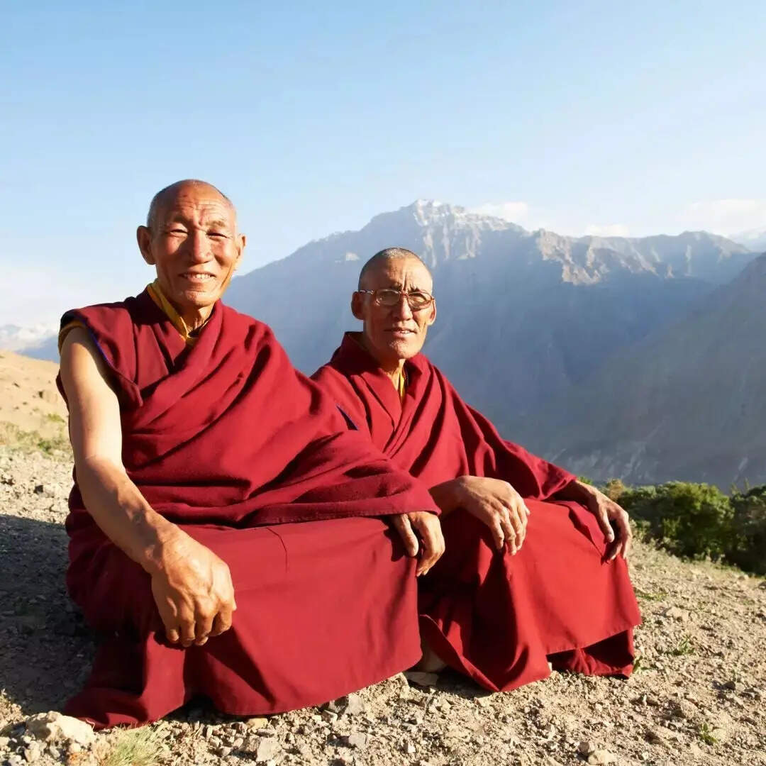 ​लिटिल ल्हासा​