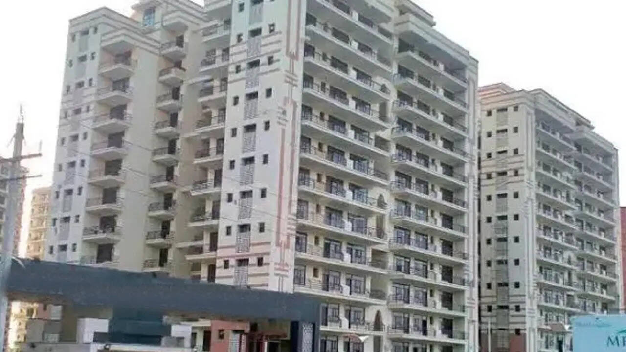 सेक्टर 35