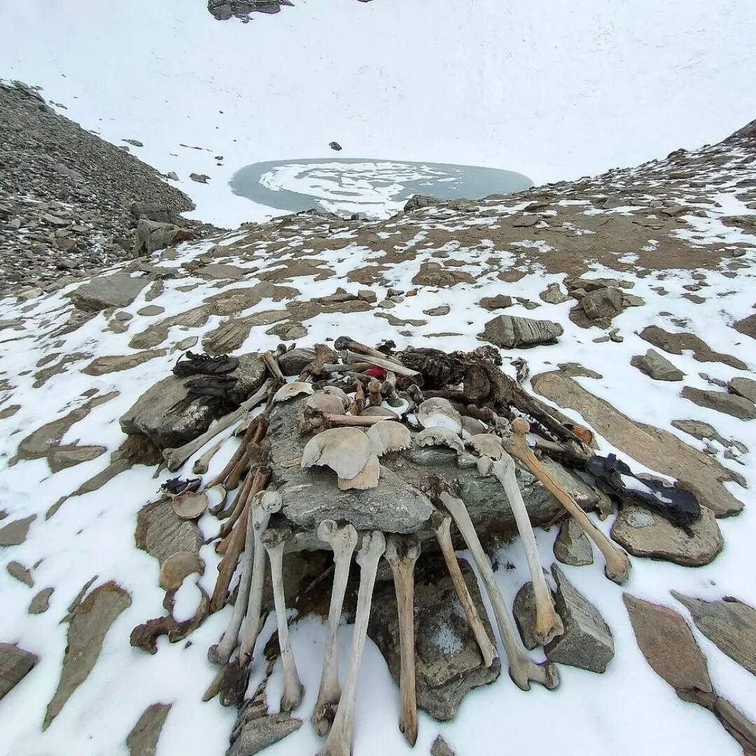 ​कंकालों का अध्ययन​