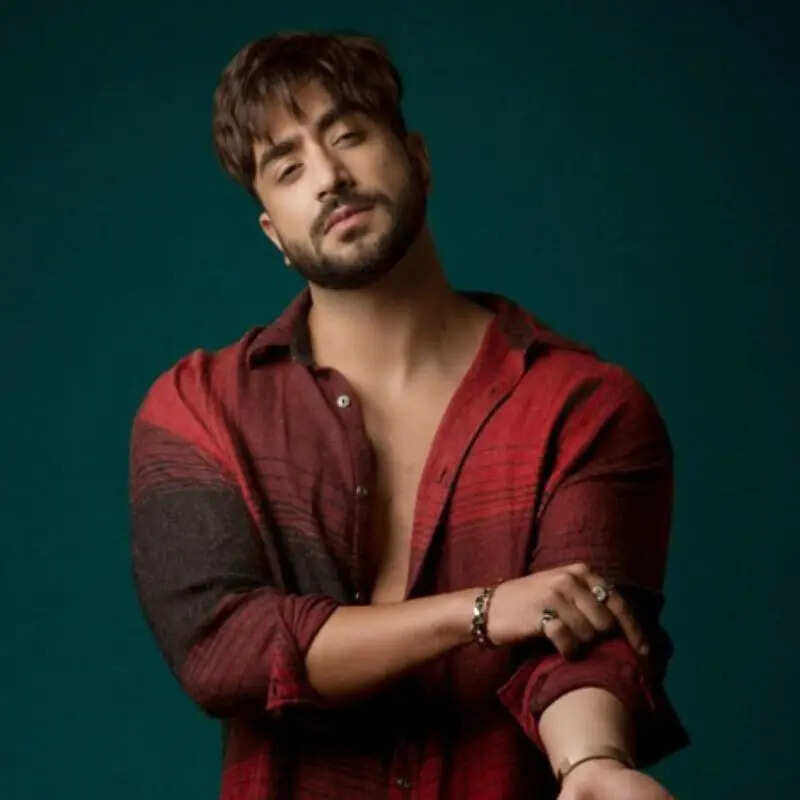 अली गोनी (Aly Goni)