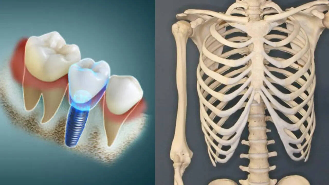 हड्डियों और दांतों को बनाता है मजबूत