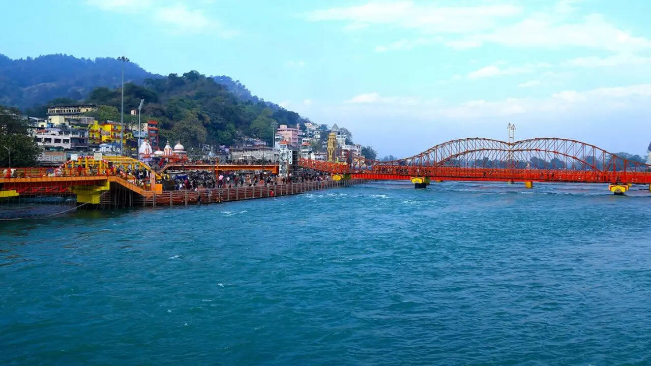 हालांकि ये जानकारी पब्लिक डोमेन पर मौजूद अनुमान पर आधारित है। टाइम्स नाउ नवभारत इसकी पुष्टि नहीं करता है।