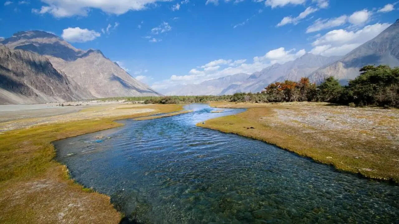 यहां स्पष्ट कर दें कि ये जानकारी इंटरनेट पर मौजूद अलग-अलग सोर्स से ली गई है। टाइम्स नाउ नवभारत इस दावे की पुष्टि नहीं करता है।​