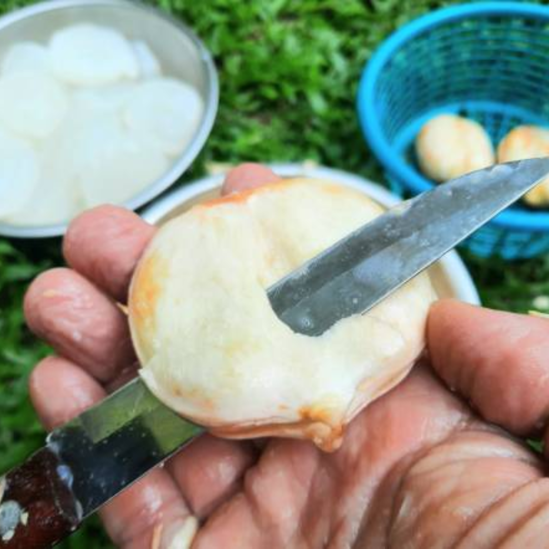 सांस की तकलीफ और अस्थमा में भी असरदार