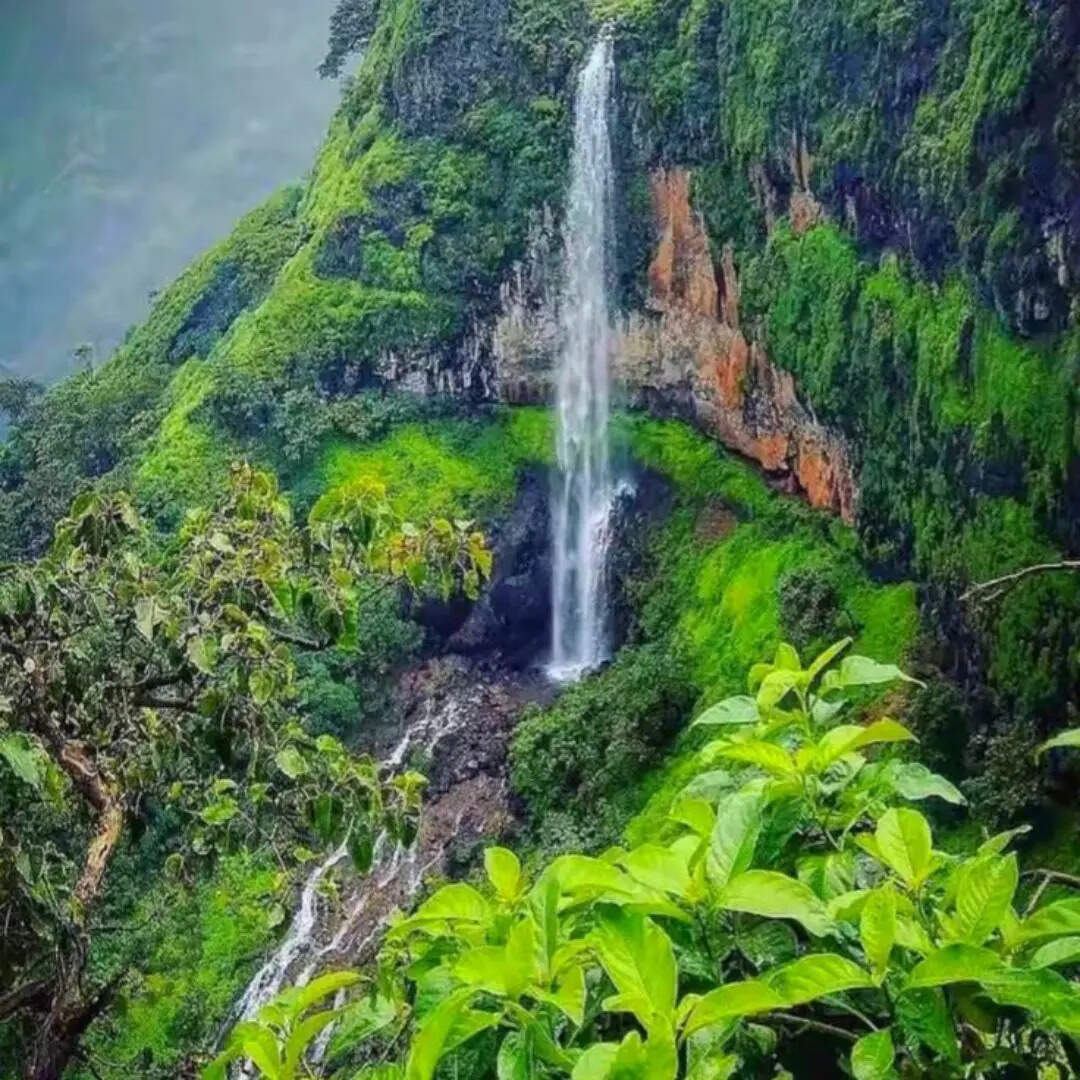 ​ट्रैवल टिप्स​