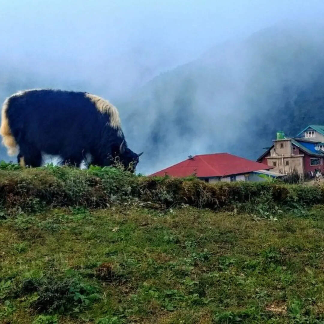 ​नेपाली संस्कृति और गांव​