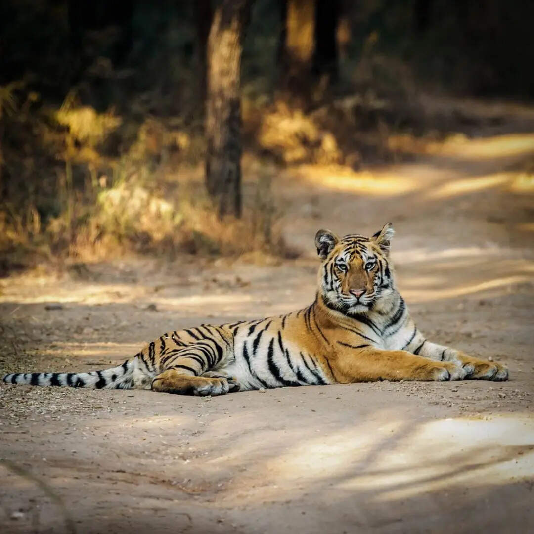 ​लोकेशन​