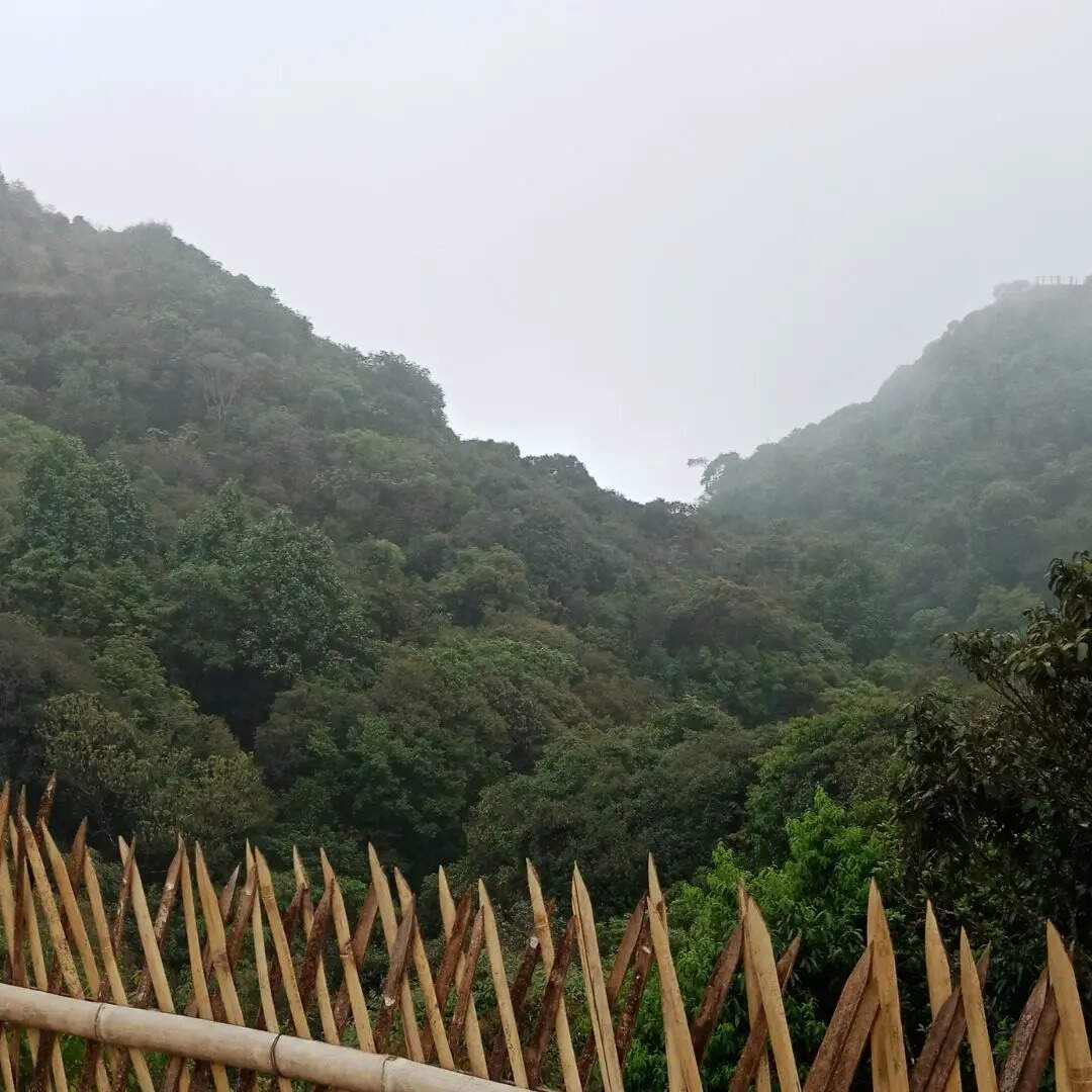 ​कलपा, हिमाचल प्रदेश​