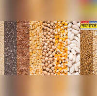 Cereal Seeds किसानों को FREE में दी जा रही मोटे अनाज के बीजों की मिनी किट विकसित कृषि संकल्प अभियान के तहत खास पहल