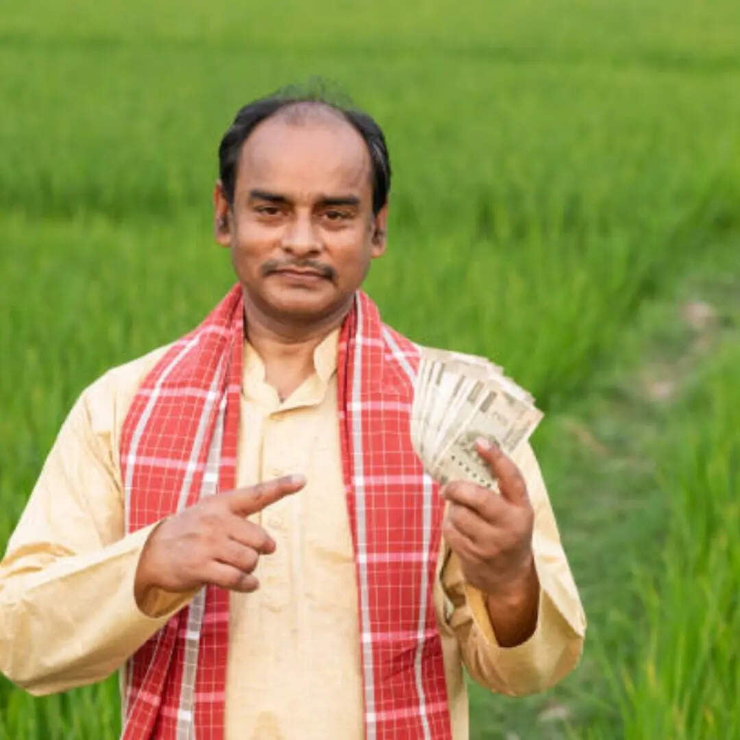 कैसे चेक कर सकते हैं स्टेटस