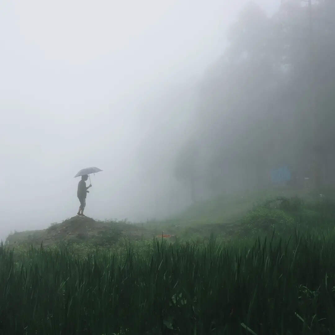 स्थानीय स्वाद का लें मजा