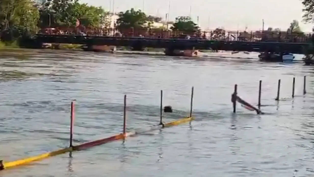 आखिर में पानी के बहाव में आकर कुछ ही सेकंडों में उसकी डूबकर मौत हो गई। अगले दिन शख्स का शव पथरी पावर हाउस से बरामद किया गया।
