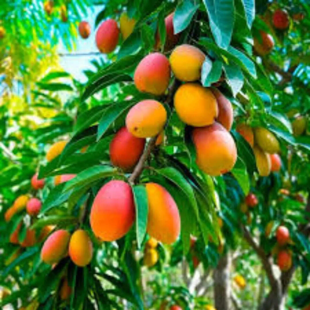 जिस खास के लिए आप खास नहीं,​उसे आम कीजिये, किस्सा तमाम कीजिए..!​