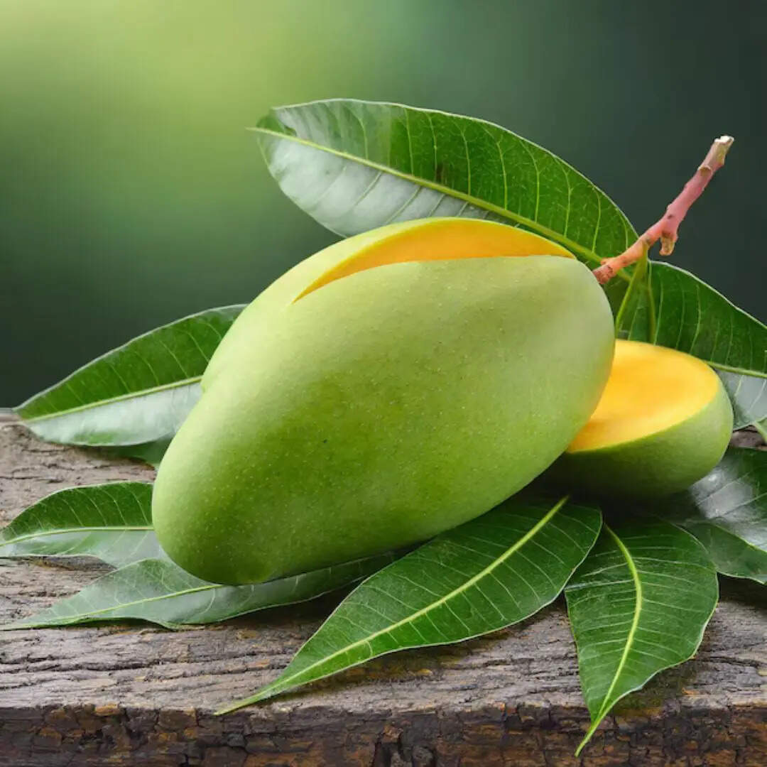 उन से हम रक्खें ज़ियादा रब्त क्यूं, शौक़ जो रखते हैं कम कम आम का​​