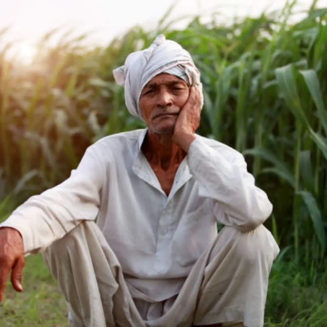 आपका नाम लिस्ट में है या नहीं?