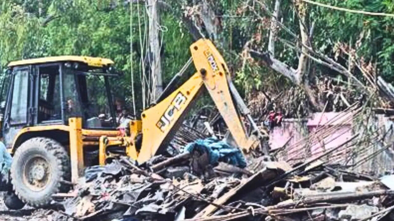 bulldozer-action