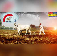 Retail Inflation कृषि और ग्रामीण श्रमिकों के लिए खुशखबरी खुदरा महंगाई में आई कमी मई महीने में रह गई 3 फीसदी से कम