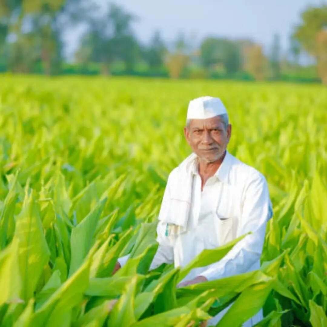 मोबाइल ऐप से कैसे करें ई-केवाईसी
